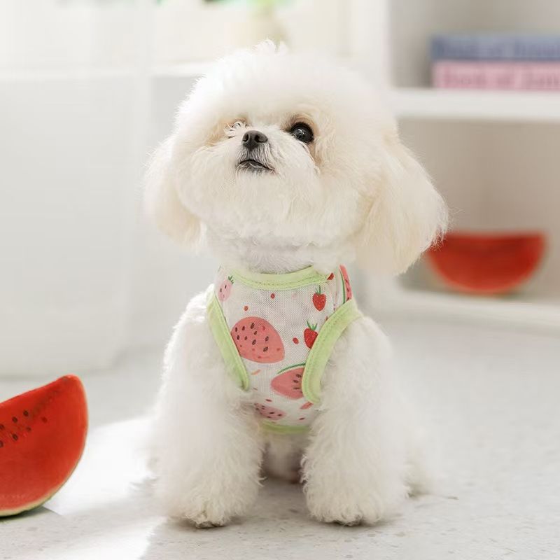 宠物服装春夏季薄款透气小型犬满印网眼背心泰迪比熊猫咪狗狗衣服