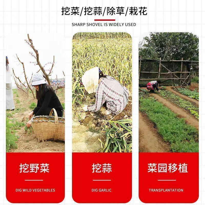 锰钢加厚小铁铲子农用种菜挖土除草挖野菜铲大蒜拔草铲