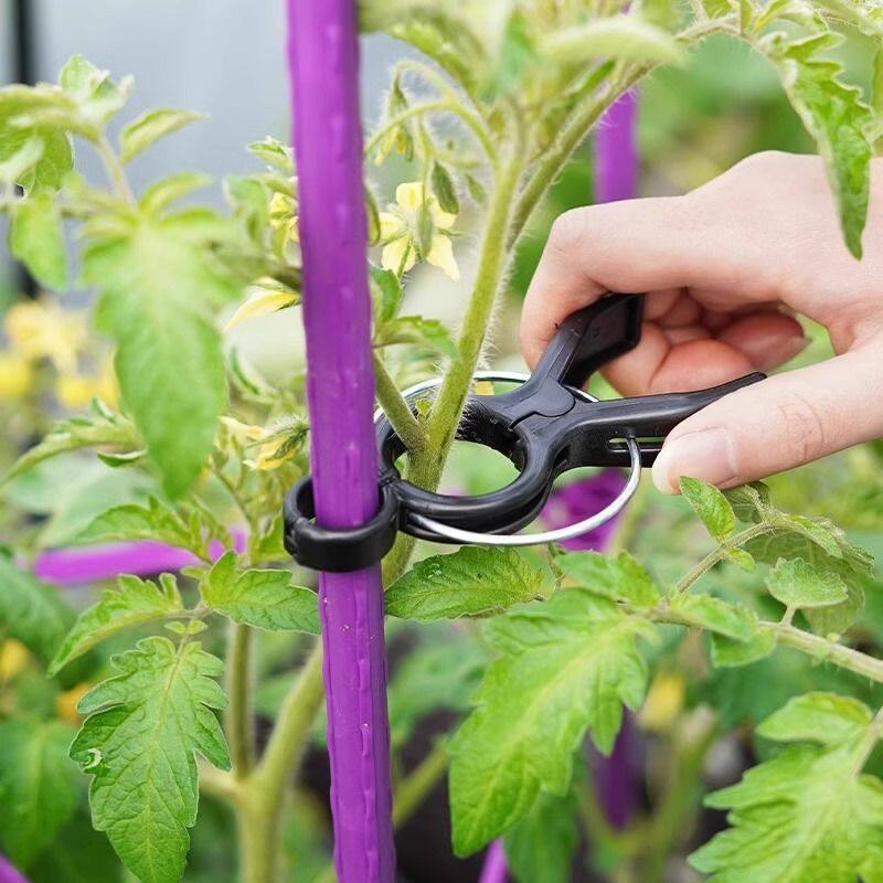 大棚农用夹子番茄西红柿吊秧辣椒茄子西葫芦黄瓜落秧吊蔓夹