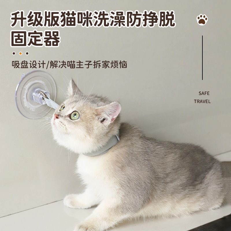 猫狗美容台吸盘绑带宠物洗澡防抓动绳子清洁固定器具