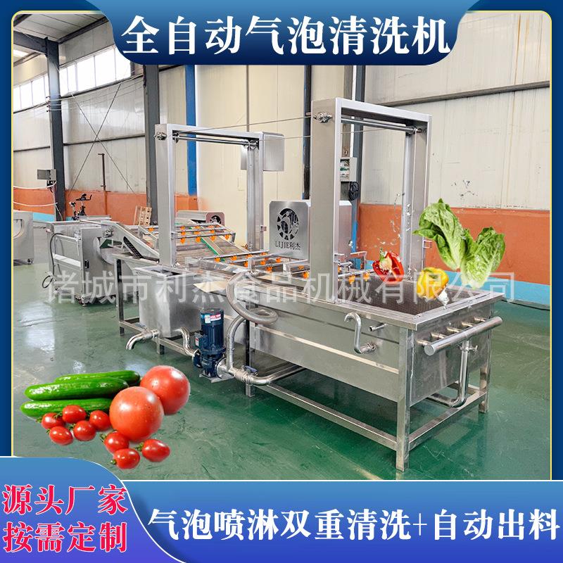 供应全自动气泡果蔬清洗机 玉米去须清洗机 圣女果气泡清洗机厂家