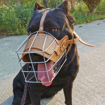 狗狗嘴套口罩防误食乱吃防咬人大型犬斯塔福卡斯罗比特杜高犬口笼