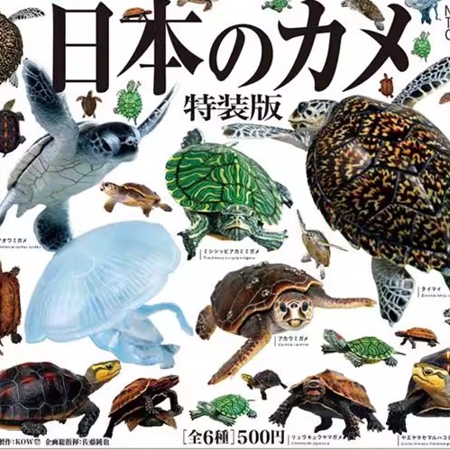 预订#  底座系列 乌龟海龟陆龟 特装版 扭蛋