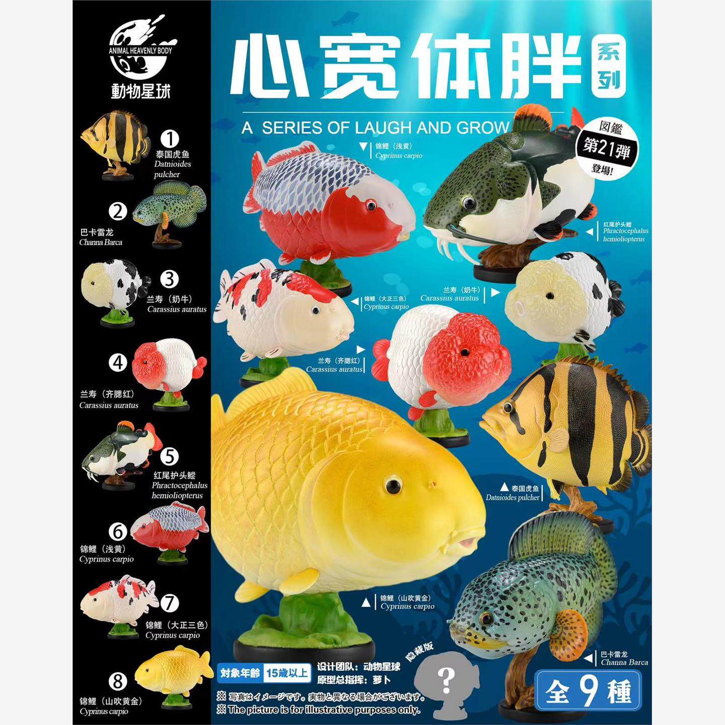 预售# 动物星球 心宽体胖 巴卡雷龙 兰寿 锦鲤 观赏鱼篇 扭蛋