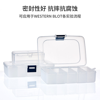 极速抗体孵育盒wb抗体避光盒western blot双层R单格免疫组化湿盒