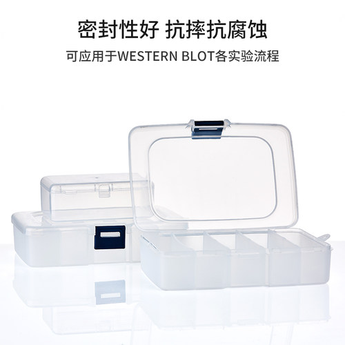 极速抗体孵育盒wb抗体避光盒western blot双层R单格免疫组化湿盒