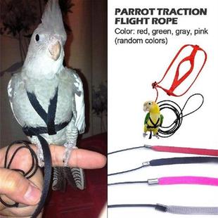 极速Parrot Harness And Levash Flying Antibite Traction Strap