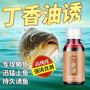 极速高纯丁香油钓鱼鱼饵添加剂公丁香酒添L加剂鲫鱼野钓诱鱼剂黑