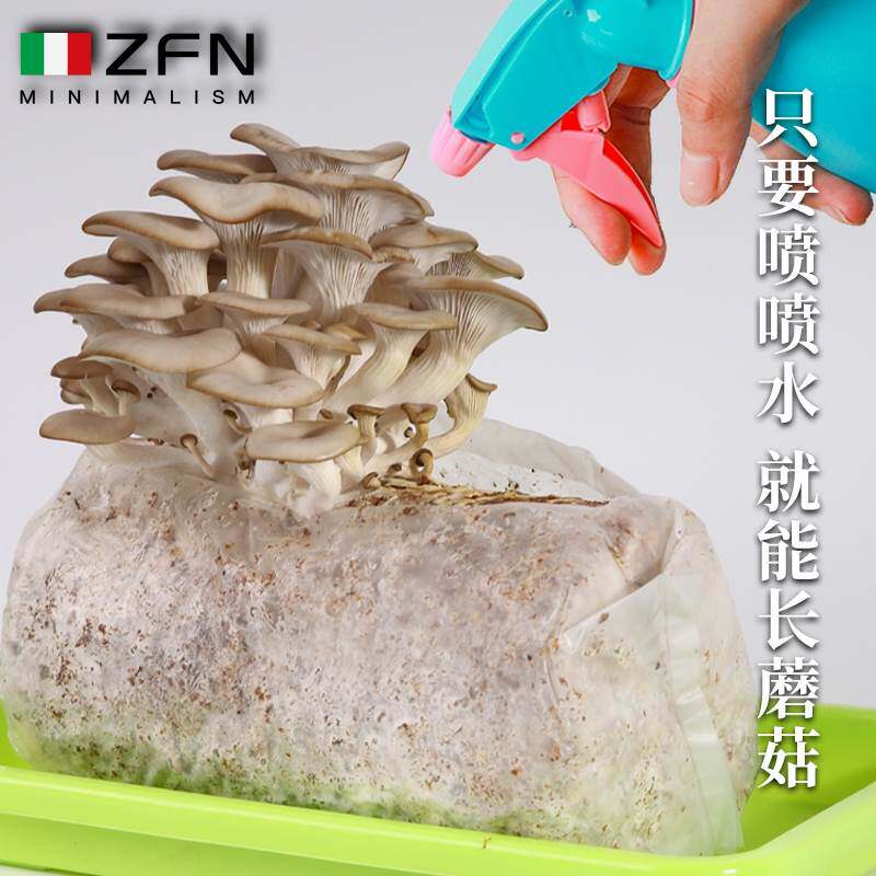 极速蘑菇菌包金针菇香菇菌棒木耳猴D头灵芝种植包家庭种植菌种家