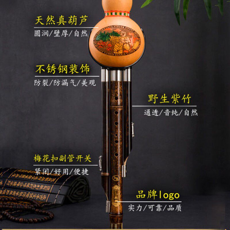 极速超值好物葫芦丝专用优质B盒子保护盒专业C调降B调收纳包