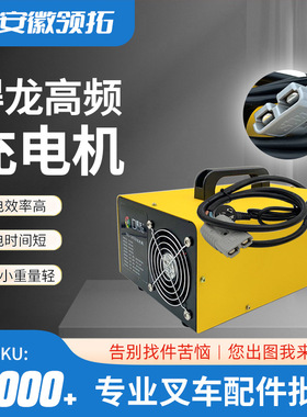 厂家直供叉车充电机得龙加液(220V)24V/30AUMA160A/SMH75A电动