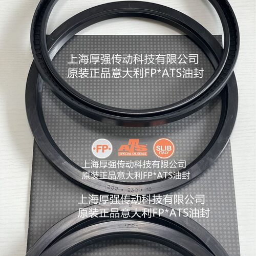 原装意大利.FP.ATS齿轮箱内骨架单唇旋转油封FPG250*280*15NBR