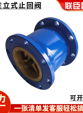 蓝色球墨铸铁立式法兰消声止回阀单向逆止阀DN50 65 80 100150200