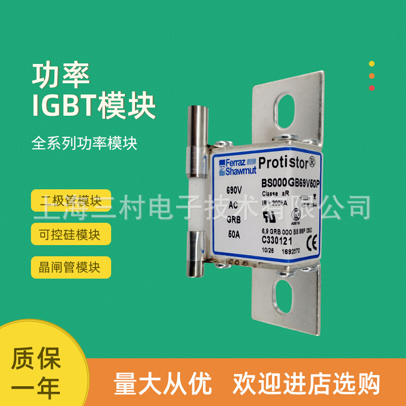 全新熔断器保险丝BS000GB69V100PF330124 BS000GB69V125P G330125