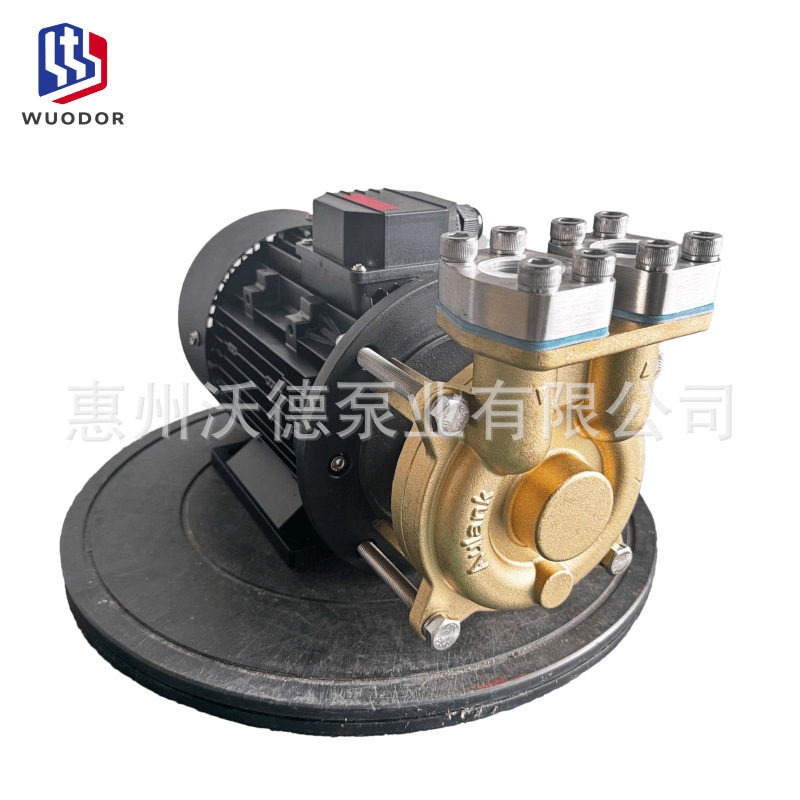 供应2.5kw热油泵WD-33-200铜叶轮耐高温导热油循环泵380V注塑机泵