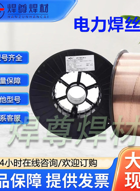 上海电力PP-TIG-309不锈钢焊丝ER309氩弧电焊丝