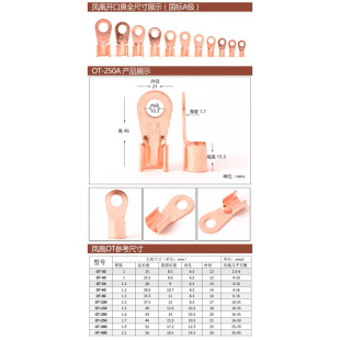开口鼻250A 铜线耳 铜线鼻子 20只详 凤凰国标 铜接头 铜接线端子