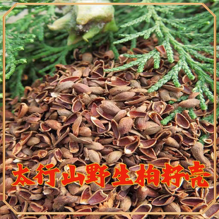 沂蒙山野生柏籽壳野生柏子壳枕芯填充柏树壳枕头助眠安神柏壳枕
