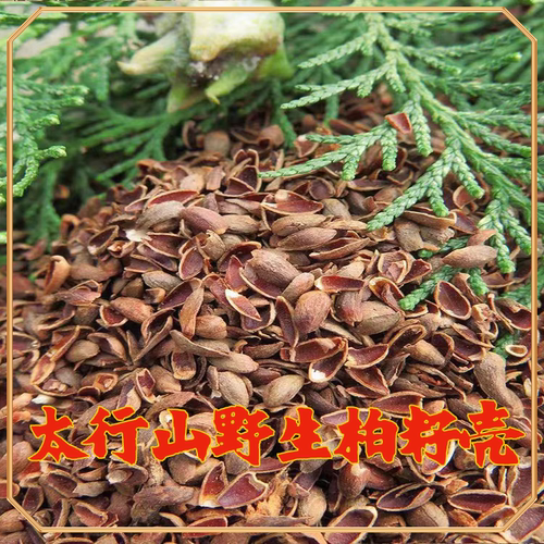 野生柏籽壳助眠安神松弛精神