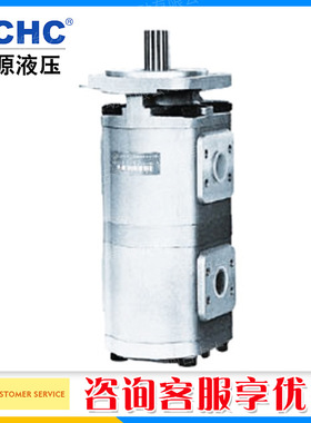 合肥长源HCHC双联齿轮泵油泵CBG2040/2040高压泵