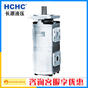 合肥长源HCHC双联齿轮泵油泵CBG2040/2040高压泵