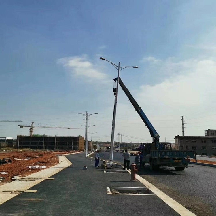 生产厂家批发led双臂路灯 工程道路照明户外路灯 A字12米双臂路灯