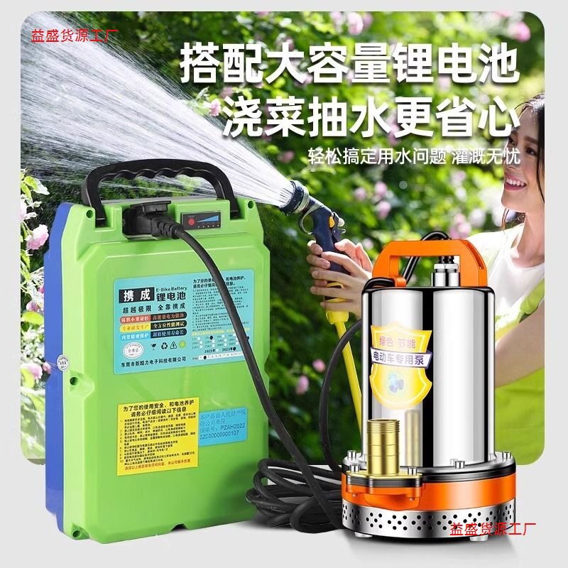充电水泵便携式农用户外浇菜水泵12V24V抽水机大流量直流潜水泵