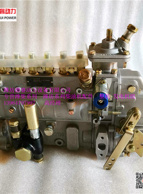 潍柴WP6发电机组燃油泵13050608喷油泵BH6PN120R衡阳泵B6AD548G