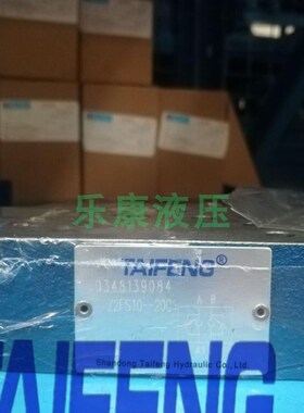 TAIFENGj 保压阀 Z2S10-10 液压控制阀 液压锁