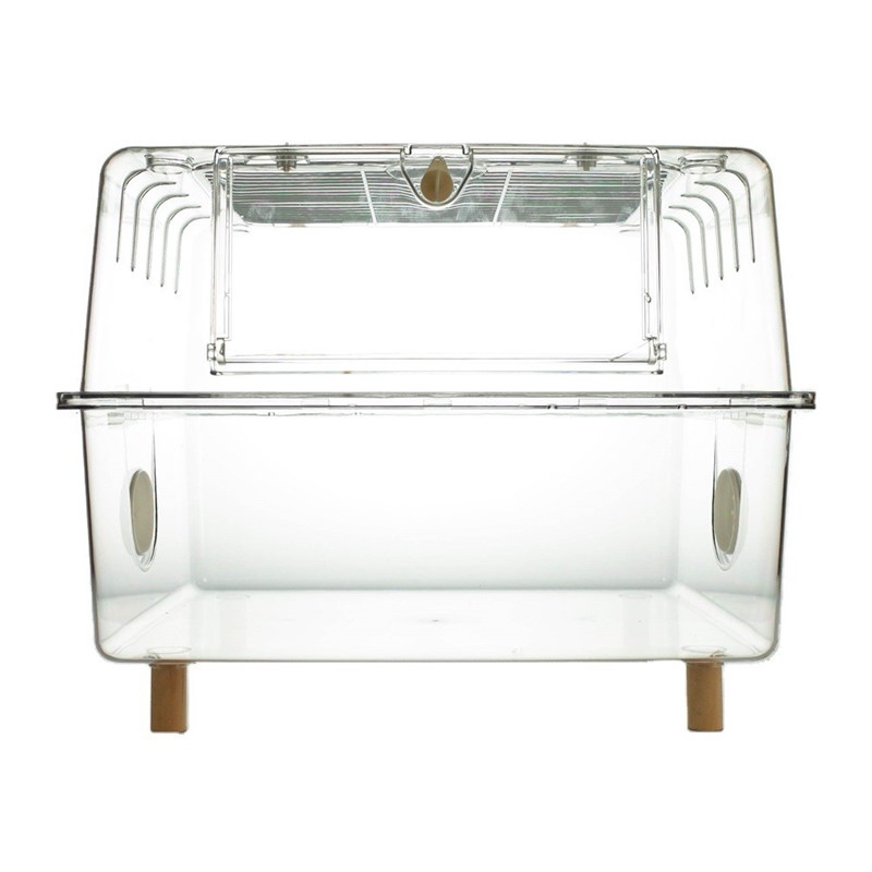 爬宠箱刺猬角蛙蛇鸟鬃狮s蜥保温蜘蛛蜴芦丁鸡饲养箱守宫陆豹龟仓