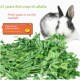 2025年紫花苜蓿草干草兔子豚鼠龙猫荷兰猪J毛重1000g 幼兔牧草 包邮