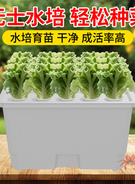15孔水培蔬菜种植箱无土栽培阳台种菜水培植物育苗儿童教学种菜机