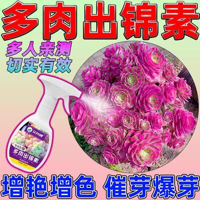 多肉出锦剂金枝玉叶多肉出锦药水上色剂优芽素多肉专用肥料控释肥