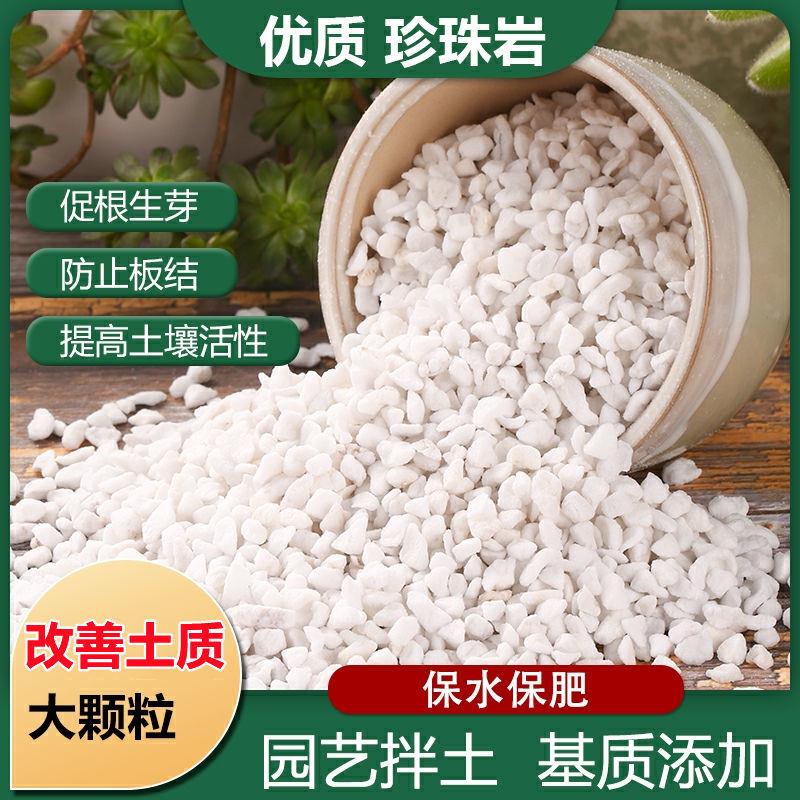 园艺养护专用珍珠岩颗粒颗粒养花种草过筛无粉末透水透气防止烂根