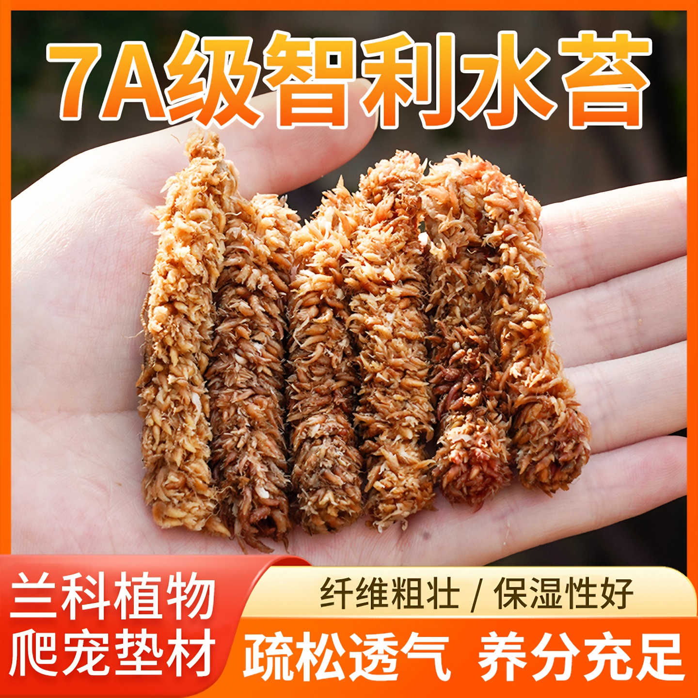 智利进口毛毛虫水苔七星干苔藓蝴蝶兰花专用土基质乌龟冬眠垫材