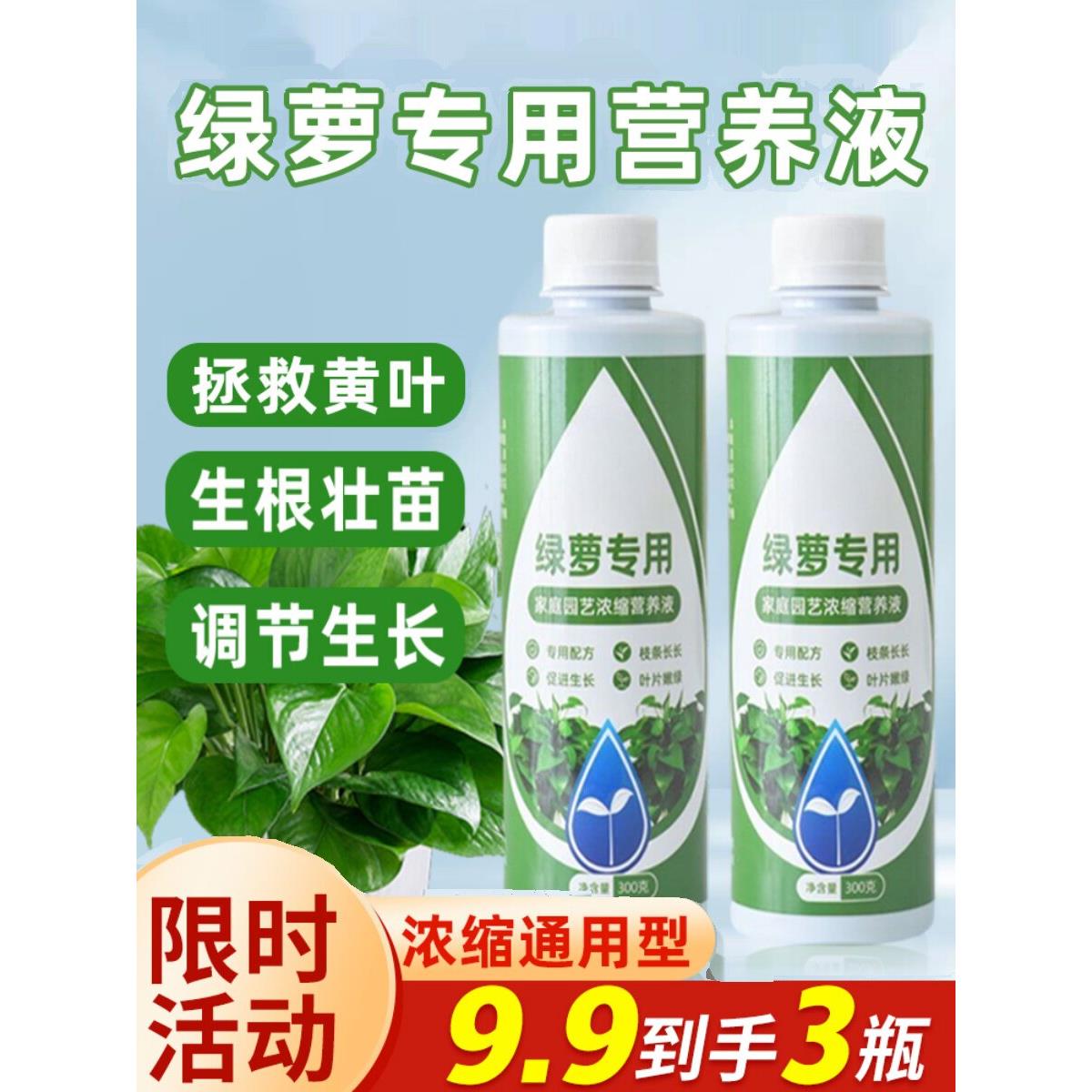 绿萝营养液专用肥料家用植物盆栽吊兰水培通用型绿箩营业液叶面肥