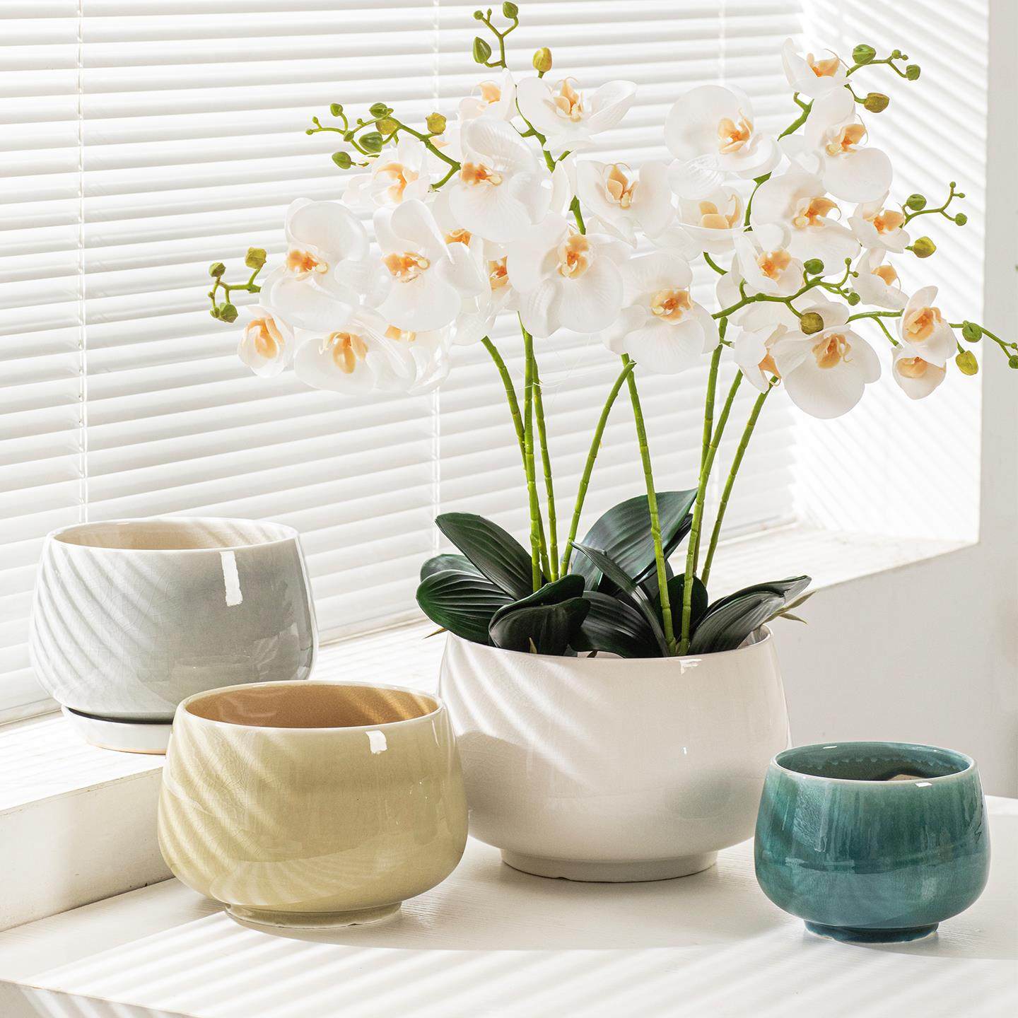 蝴蝶兰花盆轻奢高级感家用发财树兰花花盆专用套盆大口径花盆陶瓷