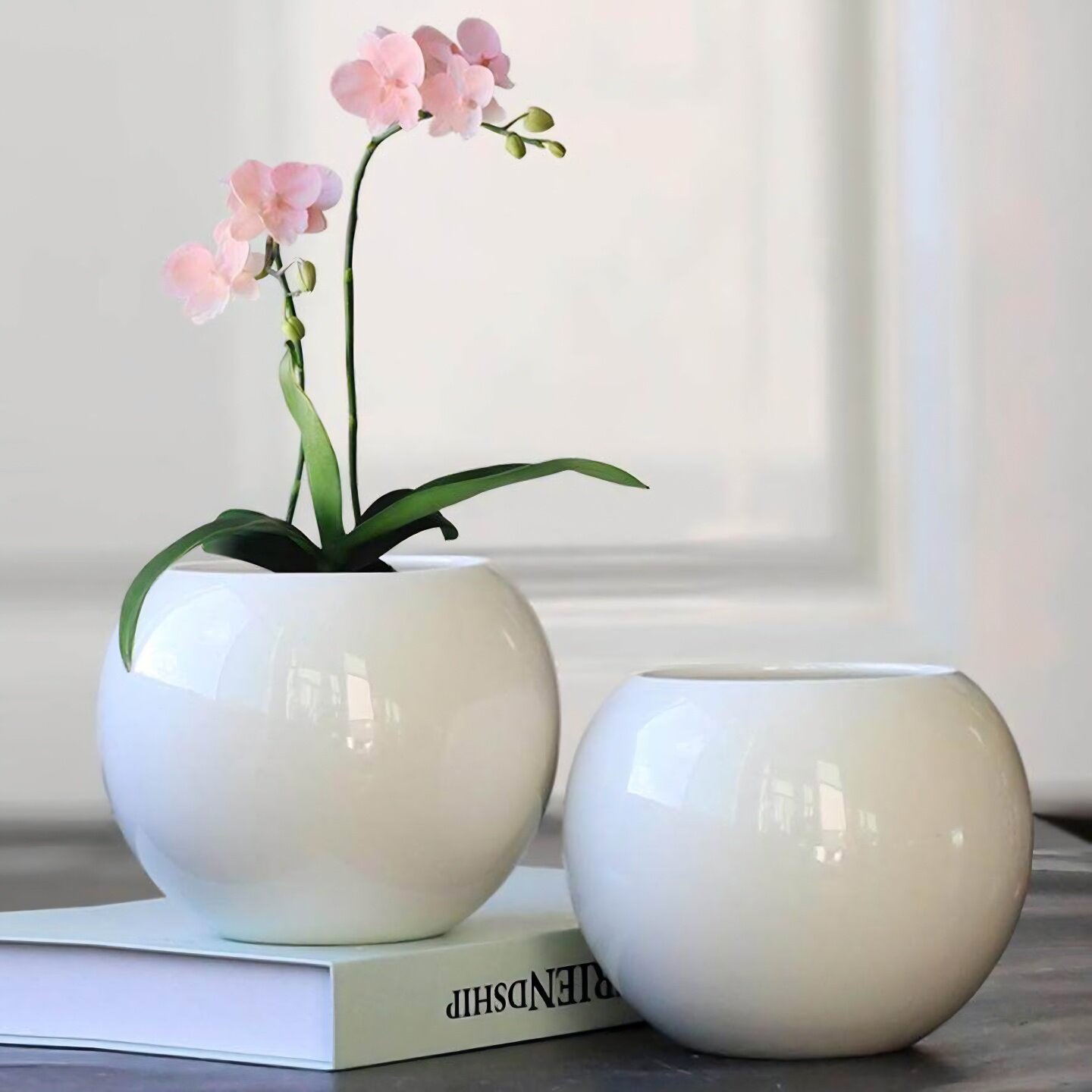 白色圆球陶瓷花盆无孔水培铜钱草桌面有孔多肉花盆蝴蝶兰盆栽清仓