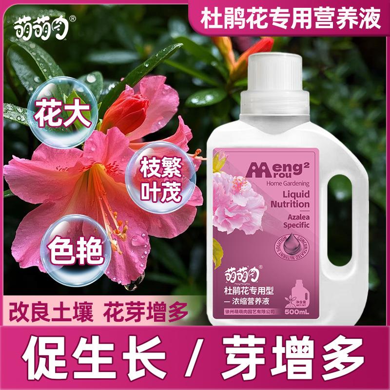 杜鹃花专用营养液强根健苗花苞满枝让杜鹃生机盎然花期延长营养液