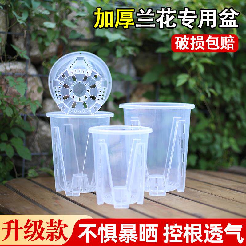 花大爷蝴蝶兰专用花盆透明控根塑料透气加厚海芋兰花树脂青山花盆