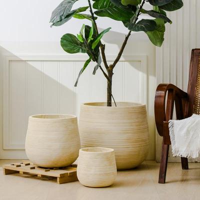 轻奢高级感中古风镁泥花盆大号黑金刚龙血树黄金榕家用龟背竹花盆