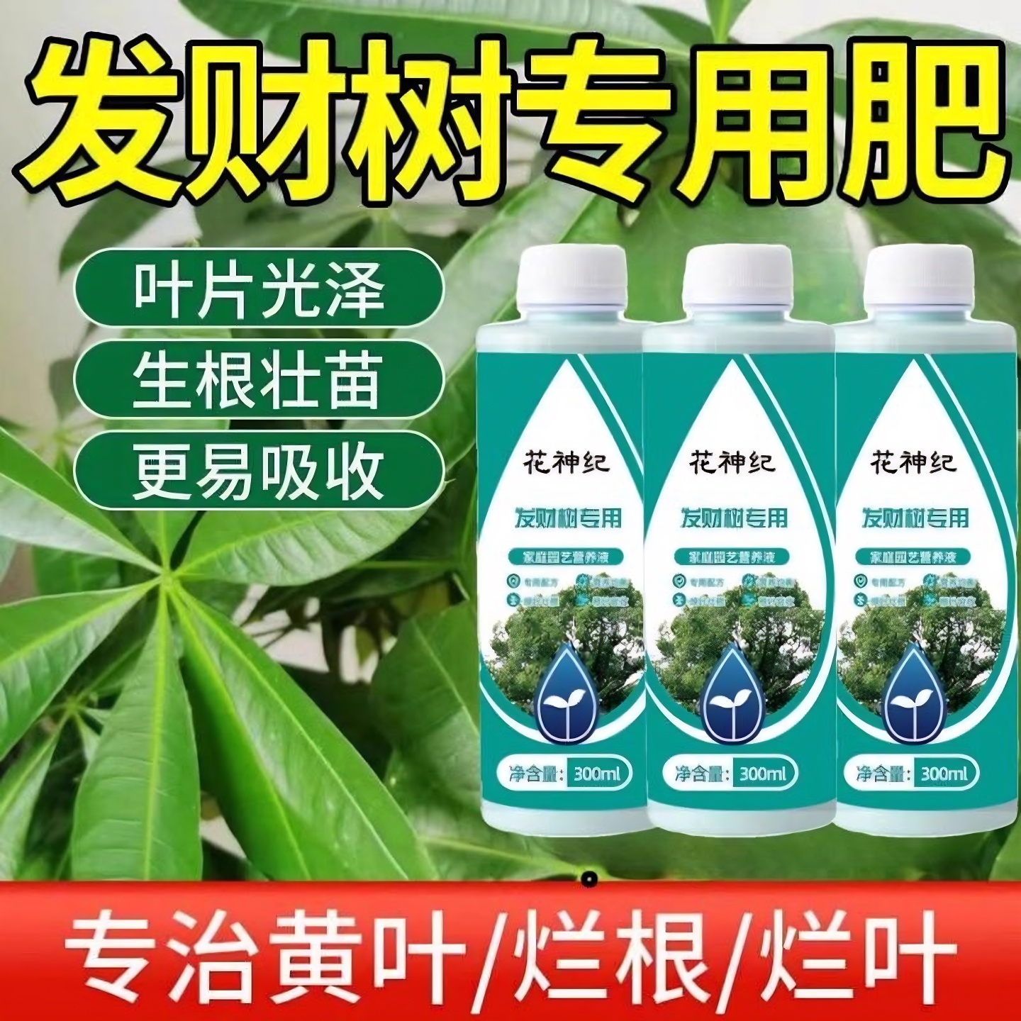 发财树专用肥植物营养液治疗叶子发黄掉叶黄叶枯叶防烂根药肥料