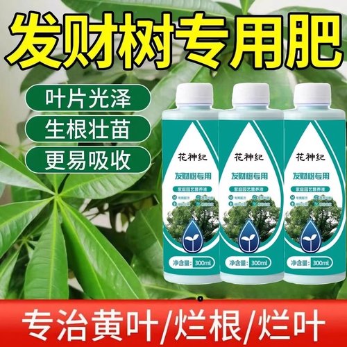 发财树专用肥植物营养液治疗叶子发黄掉叶黄叶枯叶防烂根药肥料