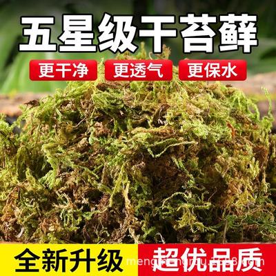 乌龟冬眠干苔藓爬宠专用五星级青苔兰花蝴蝶兰石斛营养土垫材造景