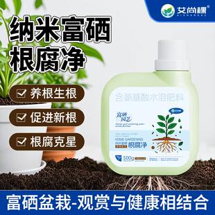 艾尚棵植物根腐净园艺养花盆栽绿植花卉兰花根腐病克星根腐抑制剂