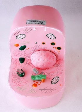 33302细胞h亚显微结构模型动物细胞构造中学生物实验器材 教学仪