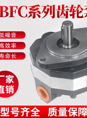 高压液压油泵CBFC转k向齿轮油泵CB-FC10/12/16/20/25/32/40/50/63