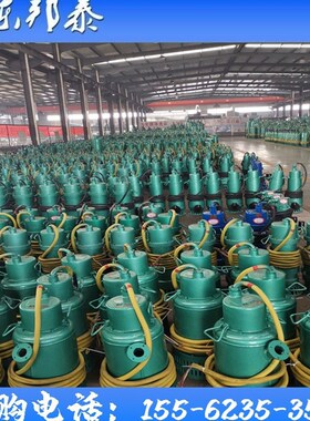 矿用隔爆潜水排污排沙泵BQS15BKW球墨铸铁材质井下自吸泵山东安泰