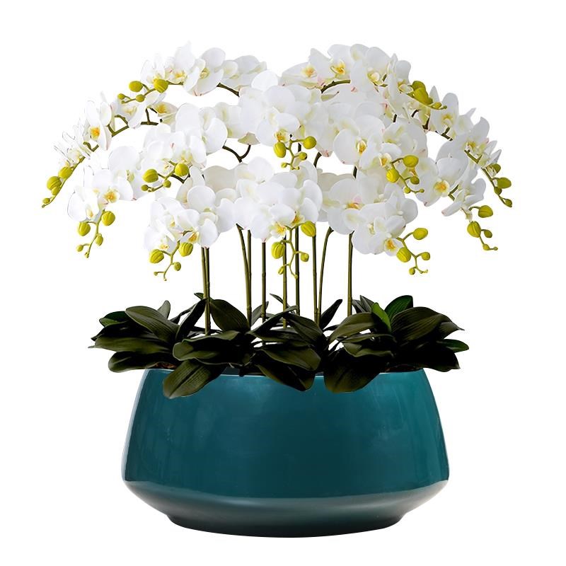 北欧简约现代创意陶瓷白色大口径家用阳台N兰花蝴蝶兰绿植花盆