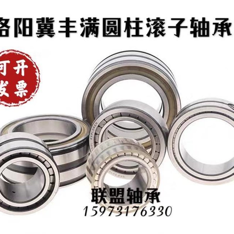 满装圆柱滚子轴承SL1848/500 NNCF48/500内径500外S径620厚度118m